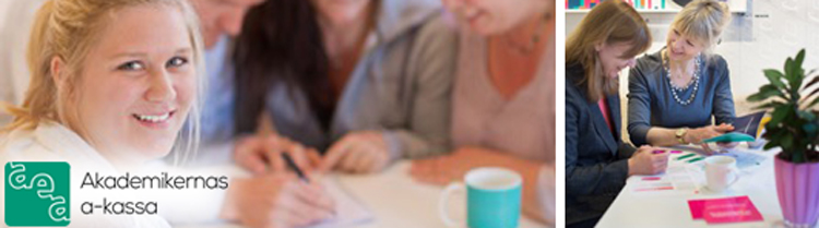 akademikernas.storynews.se